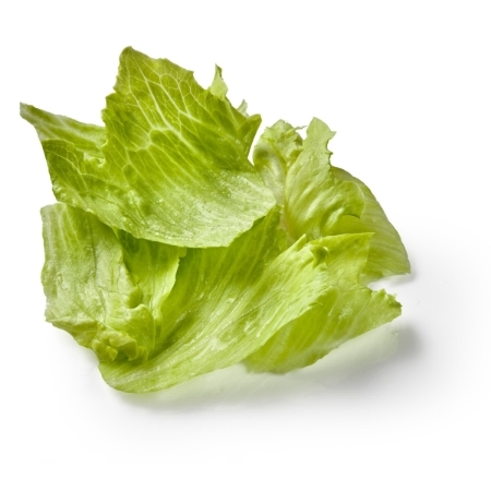Imagen de Lechuga
